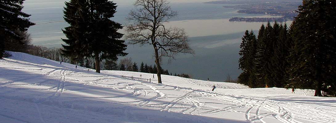Pfänder cable car rates winter