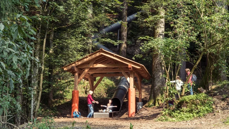 eine Familie verwendet die Waldrutsche im Alpenwildpark der Pfänderbahn