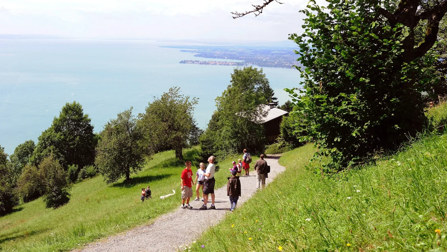 Personen wandern am Pfänder