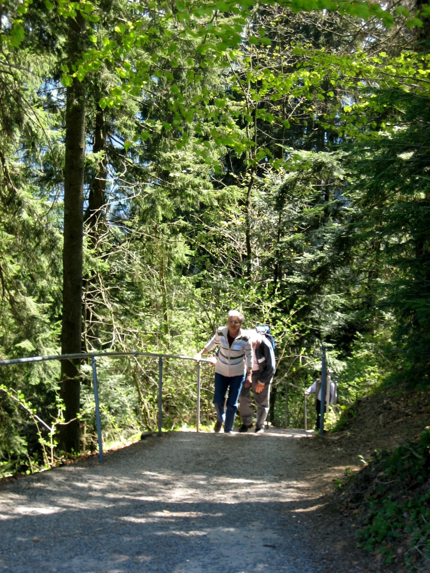 Wanderer an einem steileren Abschnitt im Wald