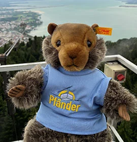 Marmo, das Maskottchen der Pfänderbahn