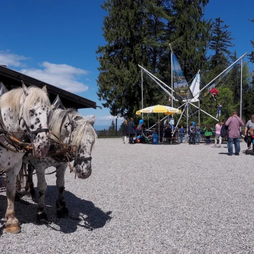 Pferde und Menschen vor einem Eventgelände.