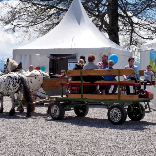 Pferdekutsche mit Menschen vor weißen Zelten
