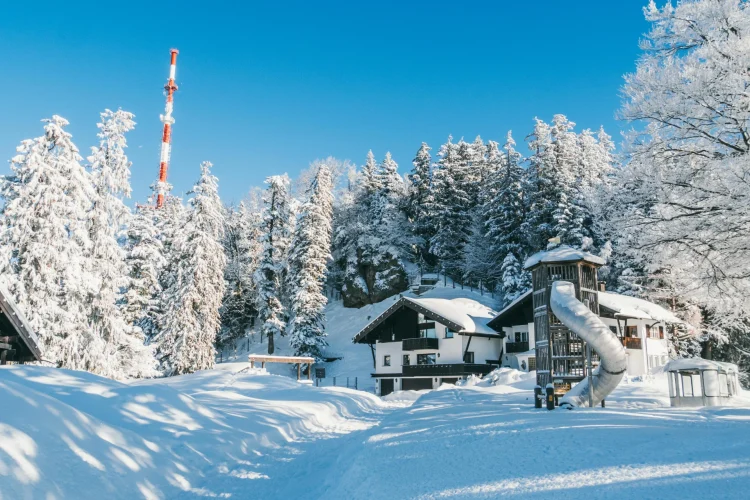 Verschneite Landschaft und schneebeckte Bäume am Pfänder