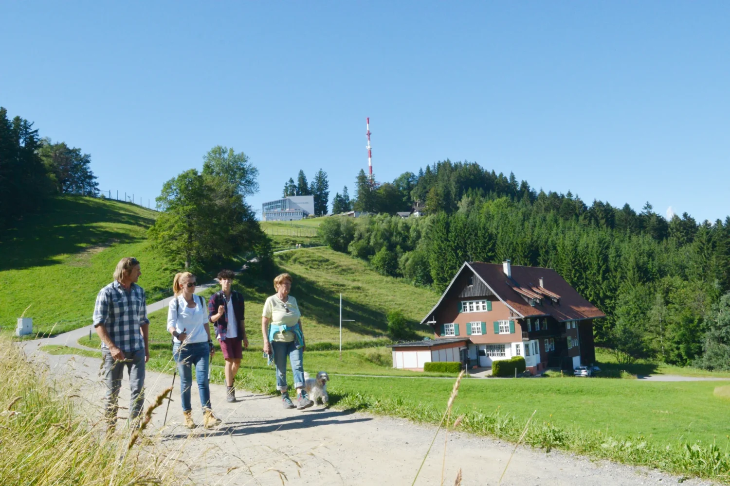 Personen wandern im Sommer von der Pfänderbahn aus vorbei am Gasthaus Pfänderdohle