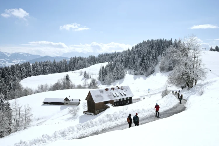Personen spazieren im Winter am Pfänder in Richtung Gasthaus Pfänderdohle