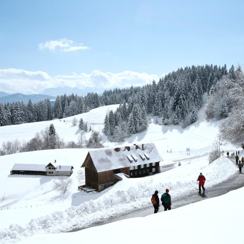Winterlandschaft Heidegger